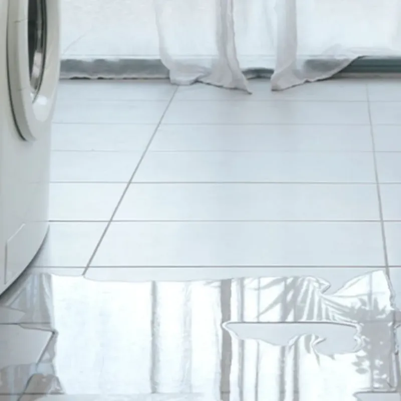 Appliance Leak Cleanup in Pitt County, NC