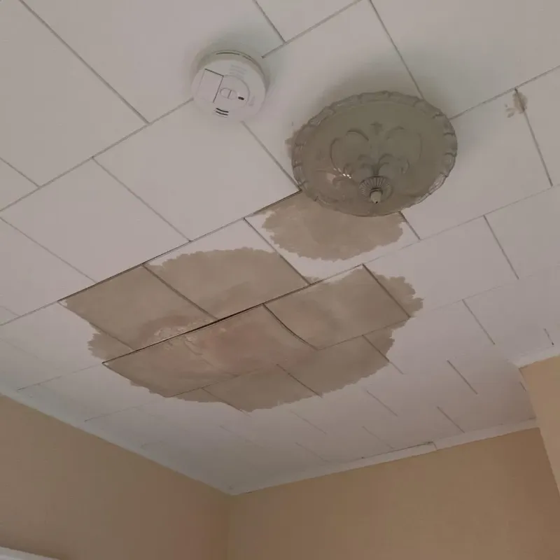 Ceiling Water Damage Repair in Pitt County, NC