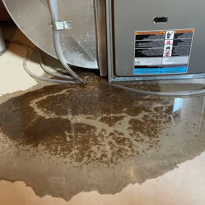 Pipe Burst and Leak Restoration in Pitt County, NC