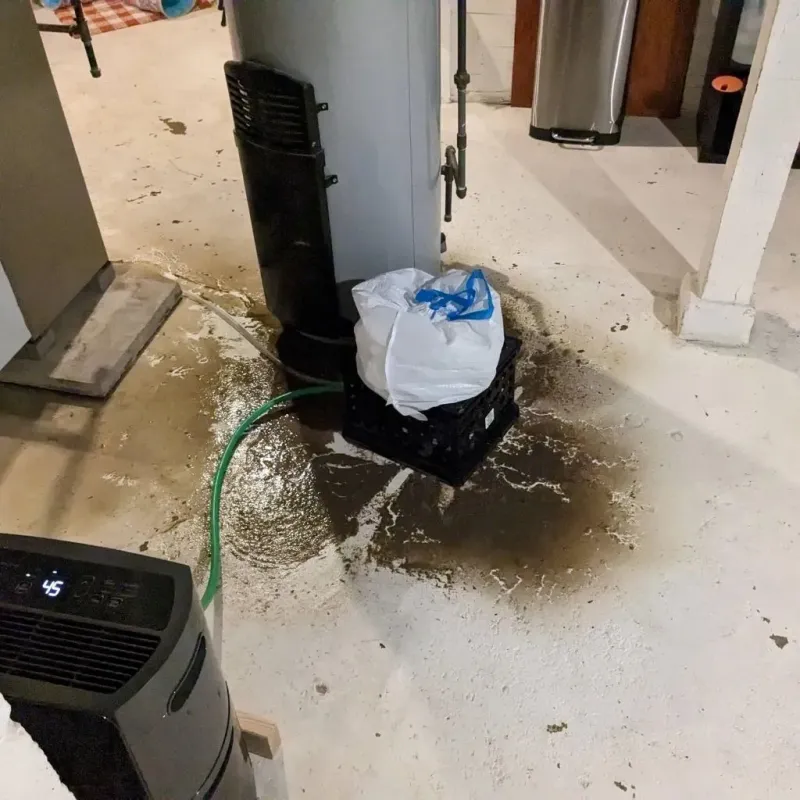 Sewage Backup Cleanup Service in Pitt County, NC